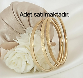 22cm Ring Simli Çelik Ajda Bilezik